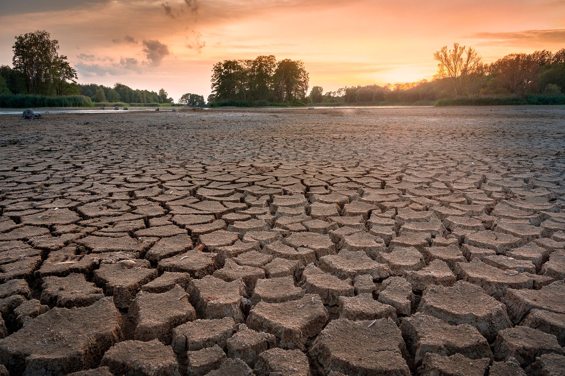 [video] El Agroclimatólogo Patricio González Sostuvo Que En Un